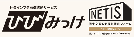 ひびみっけ