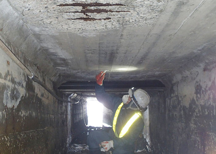 損傷調査(変状調査)